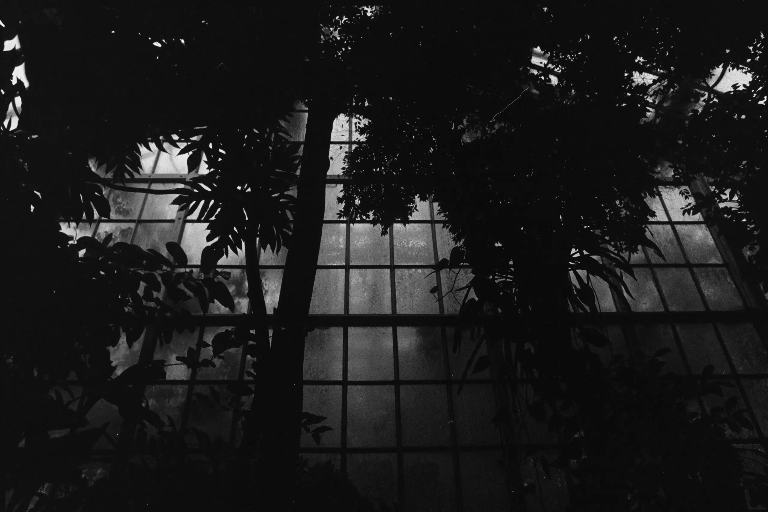 Fotografie 4 von Florian Grillmayer