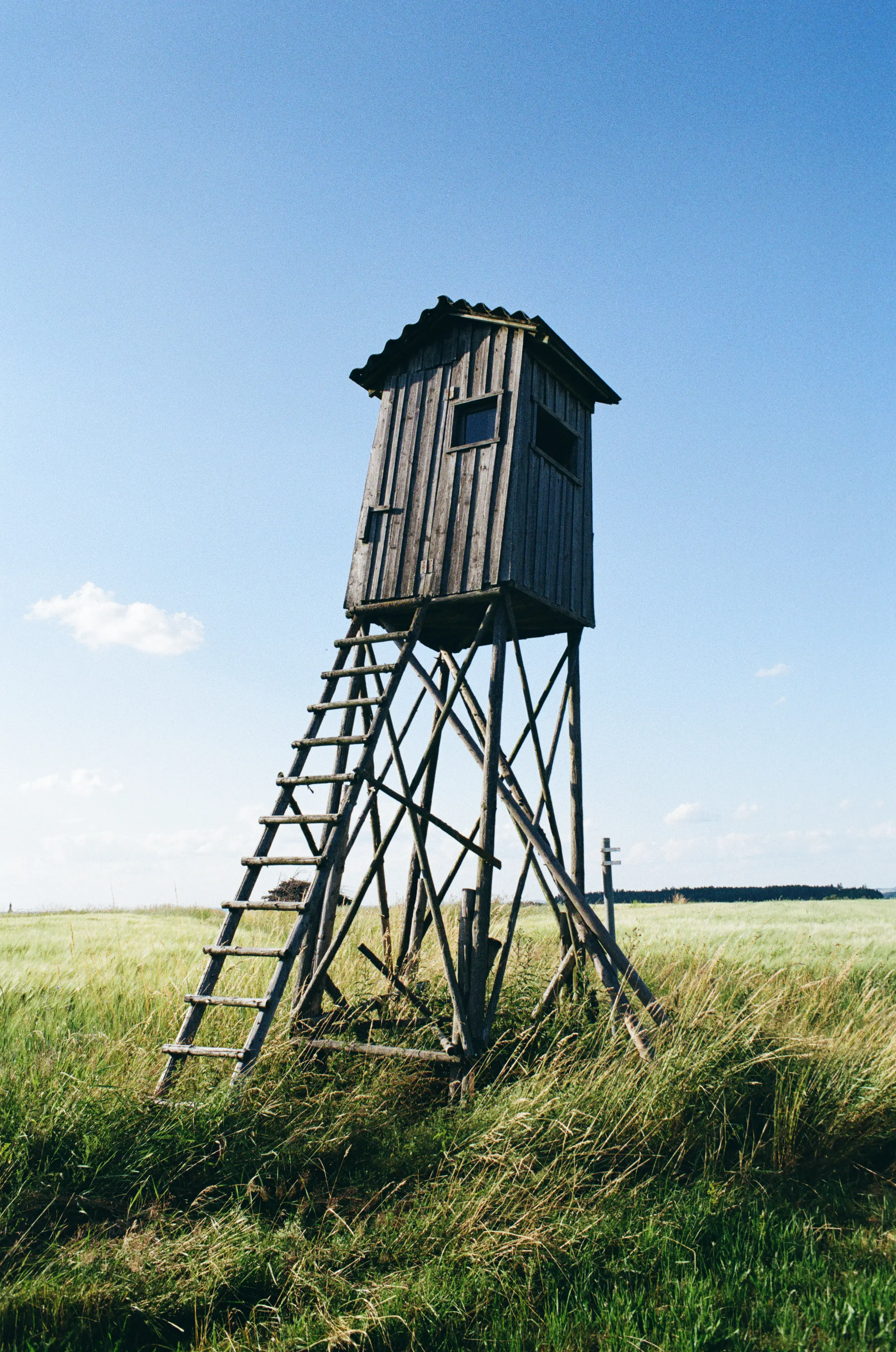 Fotografie 8 von Florian Grillmayer