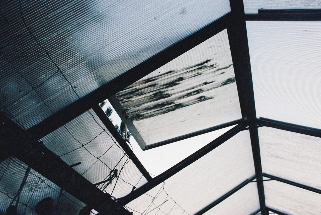 Aufnahme von unten nach oben gerichtet auf das Dach eines Gewächshauses. Das Dach besteht aus mehreren Segmenten: links ein wellenförmig profiliertes Metallblech, mittig ein transparentes Paneel mit dunklen Schmutz- und Altersflecken, rechts ein weiteres transparentes Paneel. Dunkle Metallrahmen bilden ein geometrisches Gitter. Durch eine Öffnung im mittleren Paneel ist der Himmel und die Silhouetten von Bäumen sichtbar. Im unteren linken Bereich sind lose Kabel und ein Teil eines Metallrahmens zu erkennen. Die Farbpalette ist monochromatisch in Blau- und Grautönen.
