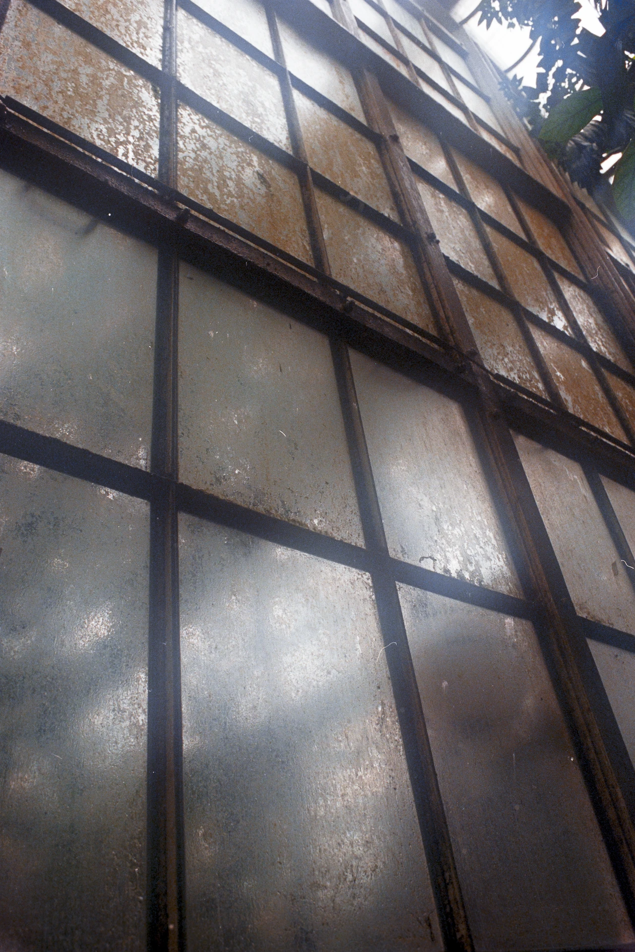 Niedriger Blickwinkel auf eine verwitterte Metallfensterstruktur mit Rost und Schmutz. Die vertikalen und horizontalen Metallrahmen bilden ein Gittermuster. Licht fällt von oben durch die Scheiben und erzeugt helle Reflexionen und dunkle Schatten. Im oberen rechten Bereich sind Blätter sichtbar.