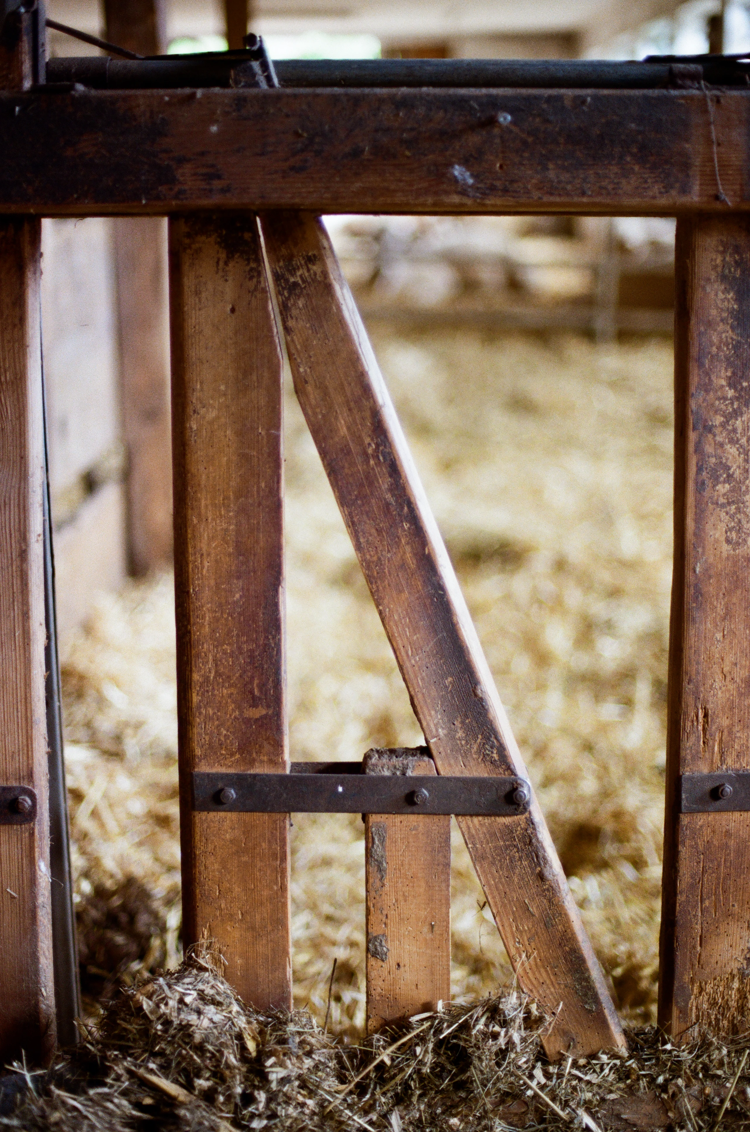 Fotografie 17 von Florian Grillmayer