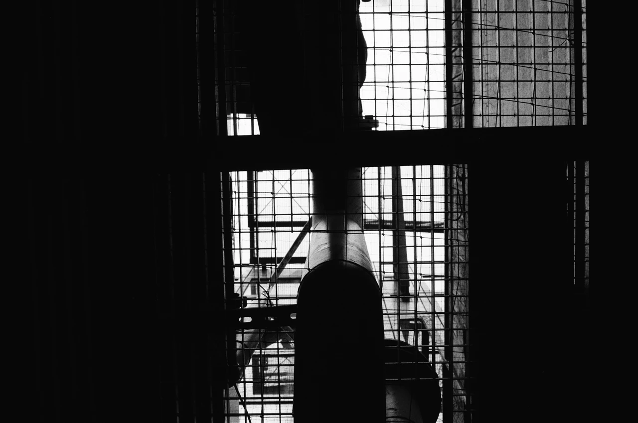 Schwarz-weißes Bild, das eine Glasfensterwand aus mehreren quadratischen Scheiben mit dunklen Metallrahmen zeigt. Dunkle Silhouetten von Pflanzenblättern und -stämmen im Vordergrund verdecken teilweise das Dach. Die Lichtquelle kommt von oben und hinter den Pflanzen, wodurch die Struktur der Wand und die Formen der Pflanzen als Schatten sichtbar werden. Die Komposition ist asymmetrisch, mit den Pflanzen auf beiden Seiten des Bildes und einem zentralen, dünnen Stamm im linken Bereich. Die Oberfläche der Glasfenster ist beschlagen.