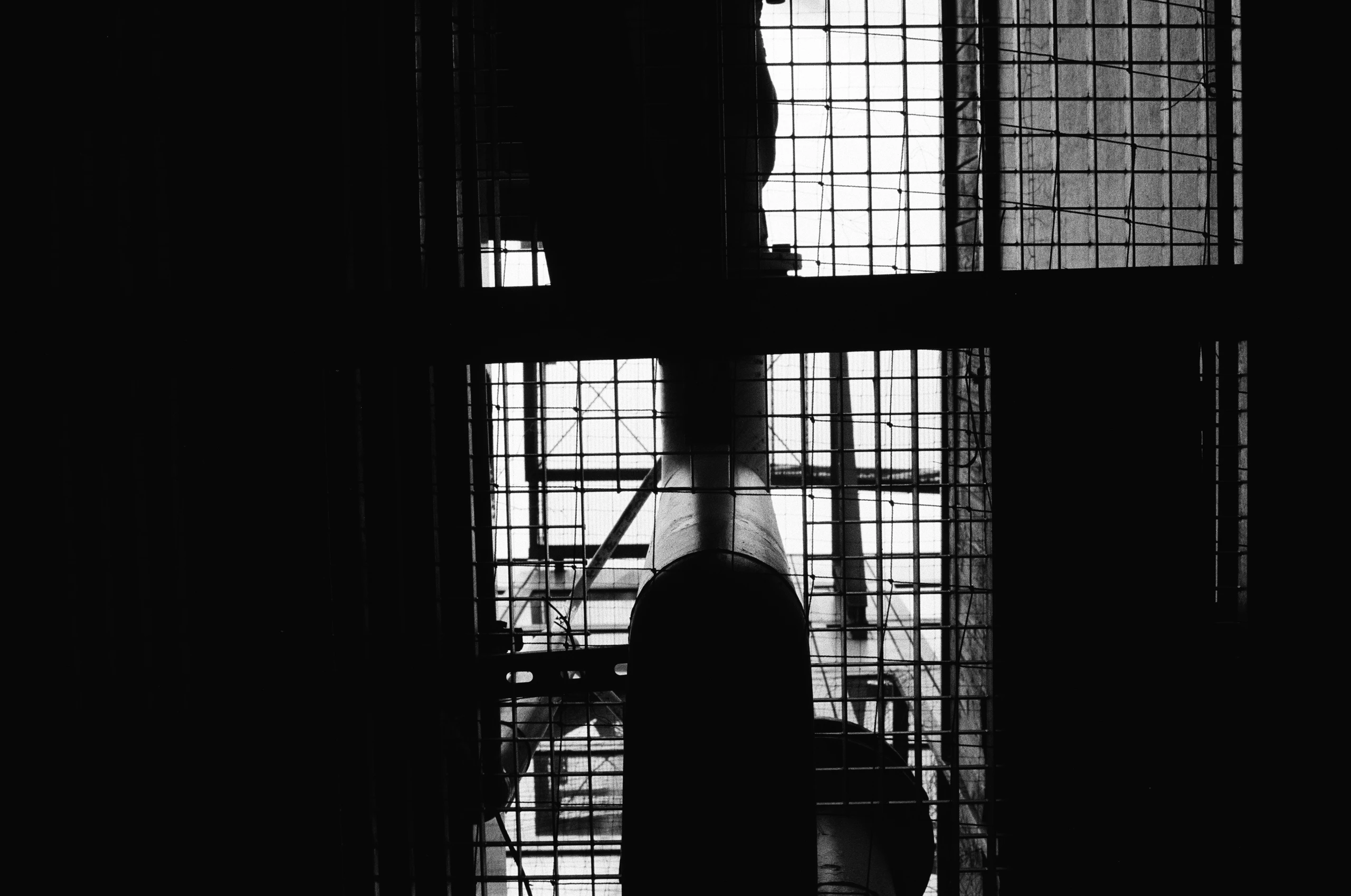 Schwarz-weißes Bild, das eine Glasfensterwand aus mehreren quadratischen Scheiben mit dunklen Metallrahmen zeigt. Dunkle Silhouetten von Pflanzenblättern und -stämmen im Vordergrund verdecken teilweise das Dach. Die Lichtquelle kommt von oben und hinter den Pflanzen, wodurch die Struktur der Wand und die Formen der Pflanzen als Schatten sichtbar werden. Die Komposition ist asymmetrisch, mit den Pflanzen auf beiden Seiten des Bildes und einem zentralen, dünnen Stamm im linken Bereich. Die Oberfläche der Glasfenster ist beschlagen.